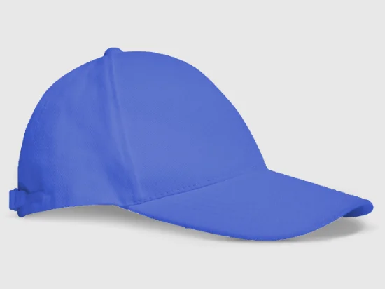 Casquette bleue