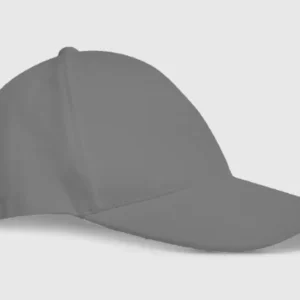 Casquette grise